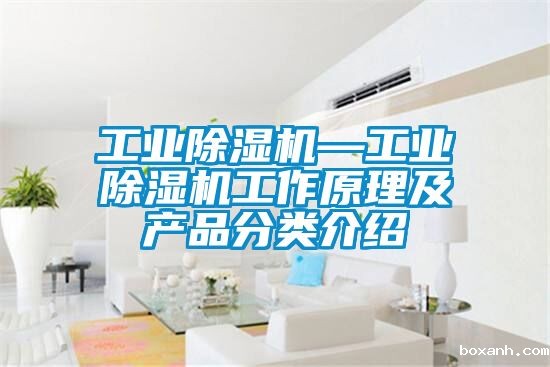 星空娱乐彩票是什么网站—星空娱乐彩票是什么网站工作原理及产品分类介绍