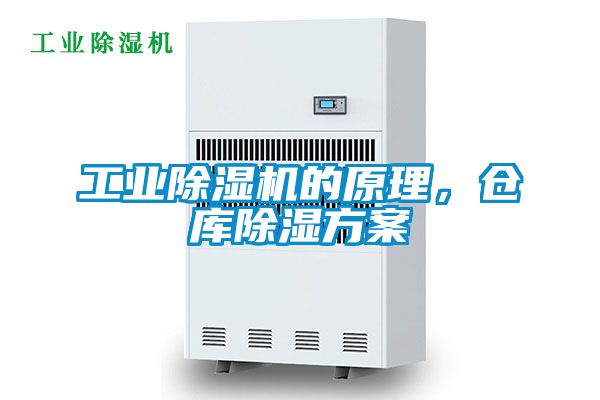 星空娱乐彩票是什么网站的原理，仓库除湿方案