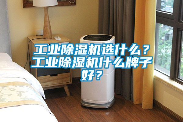 星空娱乐彩票是什么网站选什么？星空娱乐彩票是什么网站什么牌子好？