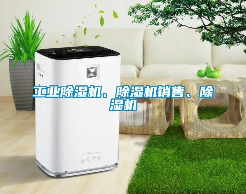 星空娱乐彩票是什么网站、除湿机销售、除湿机