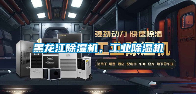 黑龙江除湿机，星空娱乐彩票是什么网站