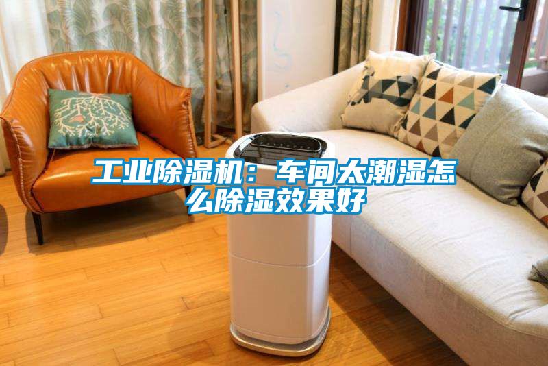 星空娱乐彩票是什么网站：车间太潮湿怎么除湿效果好