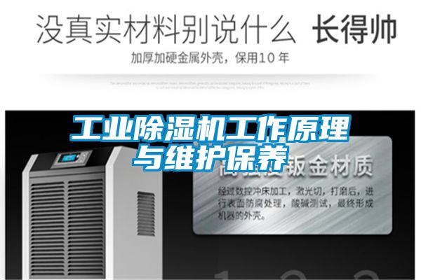 星空娱乐彩票是什么网站工作原理与维护保养