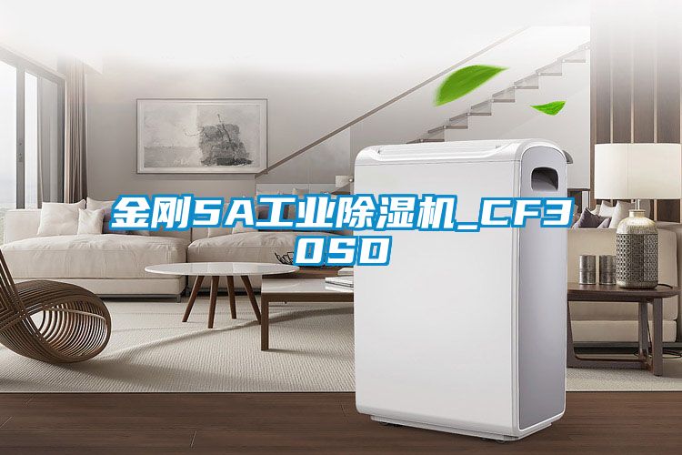 金刚5A星空娱乐彩票是什么网站_CF30SD