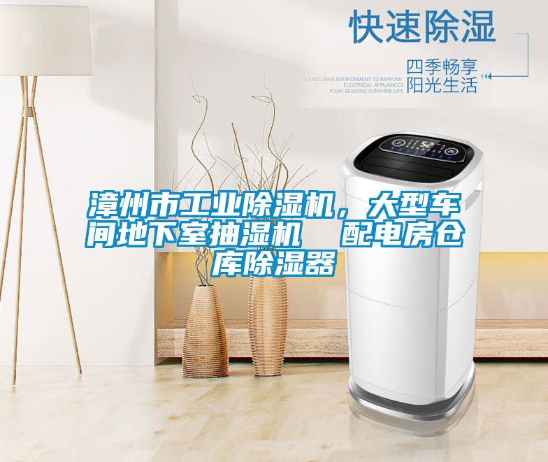 漳州市星空娱乐彩票是什么网站，大型车间地下室抽湿机  配电房仓库除湿器