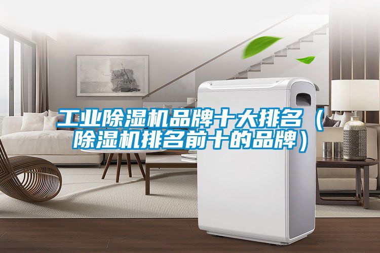 星空娱乐彩票是什么网站品牌十大排名（除湿机排名前十的品牌）