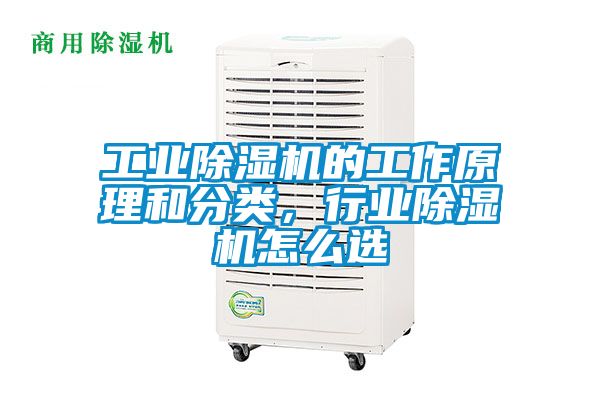 星空娱乐彩票是什么网站的工作原理和分类，行业除湿机怎么选