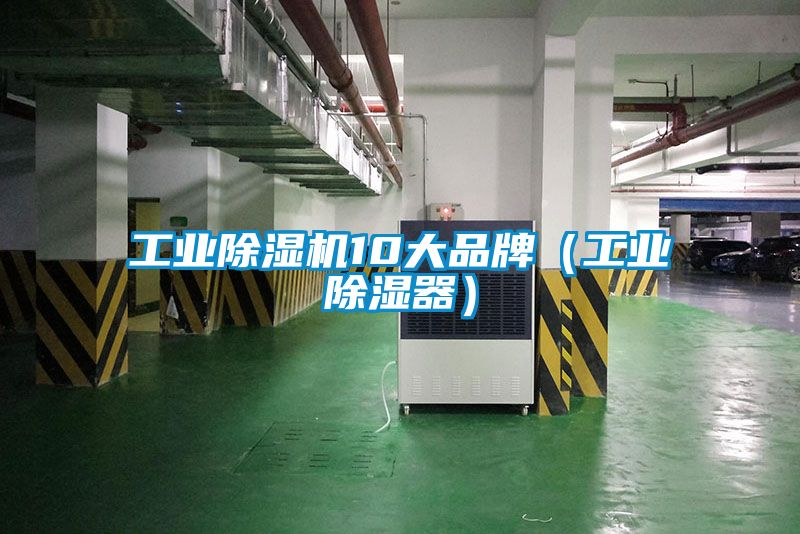 星空娱乐彩票是什么网站10大品牌（工业除湿器）