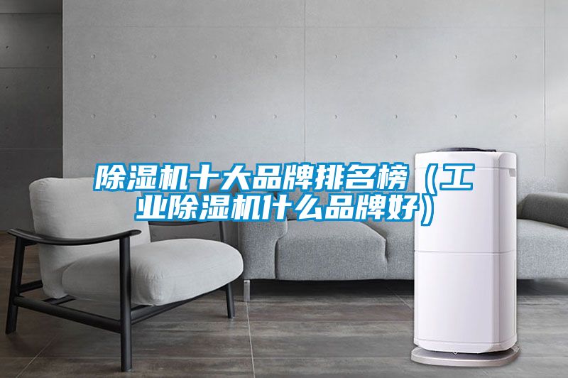 除湿机十大品牌排名榜（星空娱乐彩票是什么网站什么品牌好）