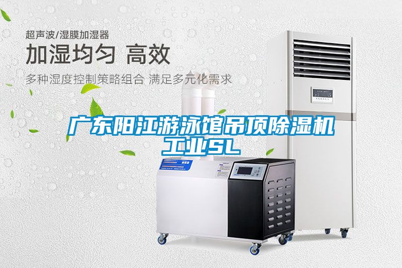 广东阳江游泳馆吊顶除湿机工业SL