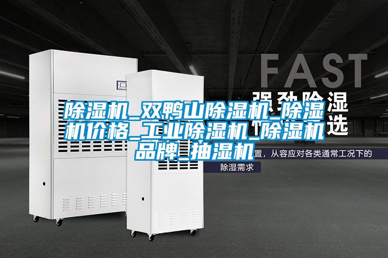 除湿机_双鸭山除湿机_除湿机价格_星空娱乐彩票是什么网站_除湿机品牌_抽湿机