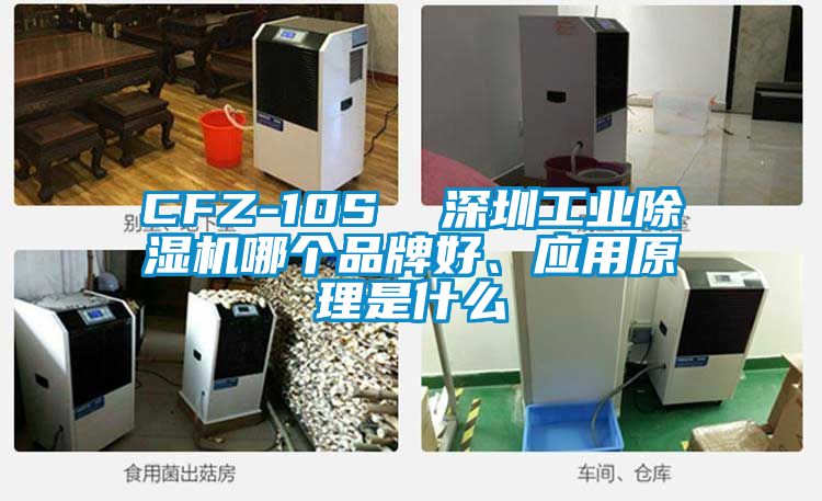 CFZ-10S  深圳星空娱乐彩票是什么网站哪个品牌好、应用原理是什么