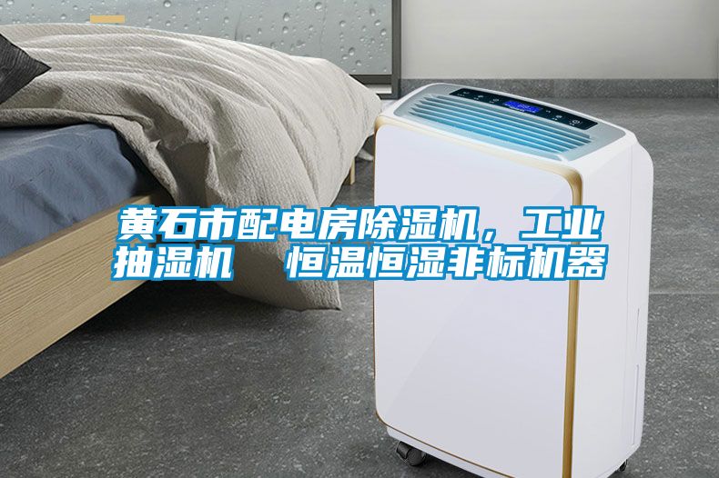 黄石市配电房除湿机，工业抽湿机  恒温恒湿非标机器